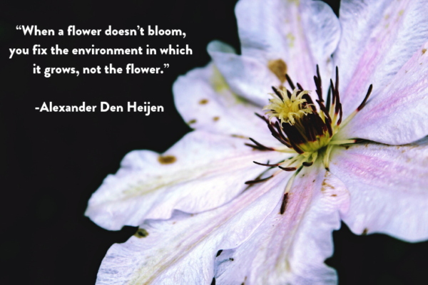 “When a flower doesn’t bloom, you fix the environment in which it grows, not the flower.” Alexander Den Heijen.