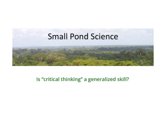 Is “Critical Thinking” a Generalized Skill